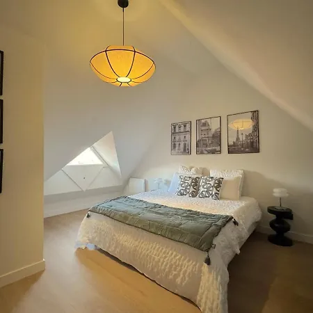 Duplex Contemporain Et Confort Strasburgo