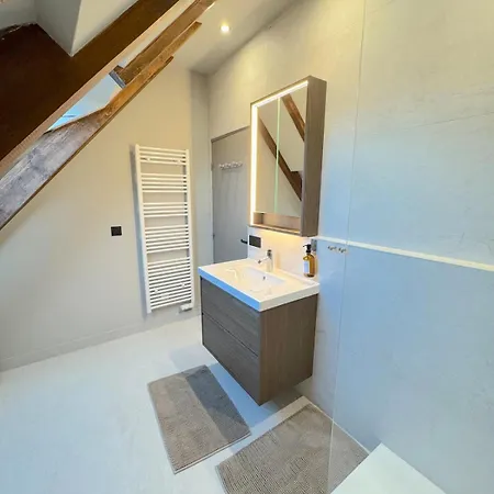 Appartamento Duplex Contemporain Et Confort Strasburgo