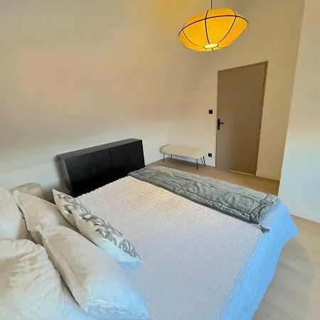 Duplex Contemporain Et Confort アパート ストラスブール