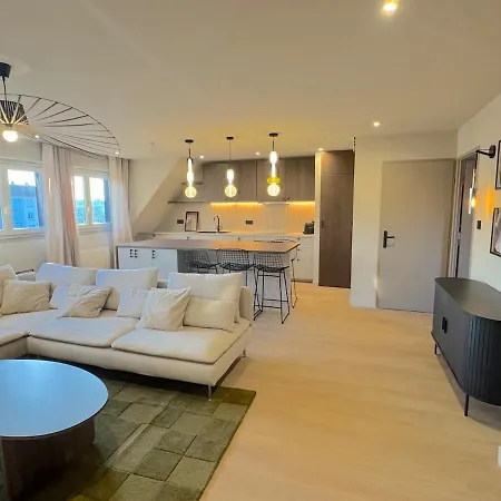 Duplex Contemporain Et Confort * ストラスブール