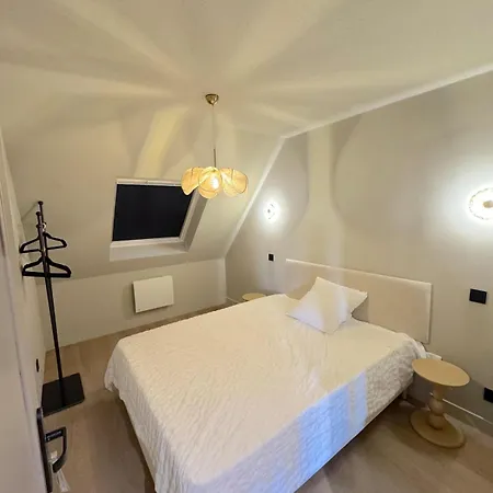 Duplex Contemporain Et Confort Strasbourg