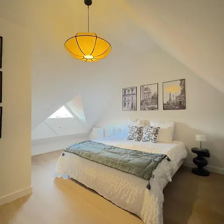 Duplex Contemporain Et Confort Appartamento Strasburgo