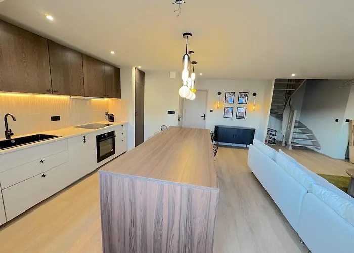 Duplex Contemporain Et Confort *