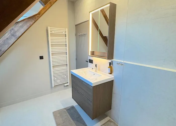 Lejlighed Duplex Contemporain Et Confort Strasbourg