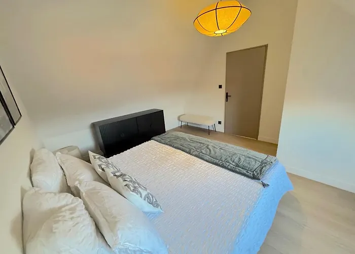 Duplex Contemporain Et Confort Apartment Strasbourg