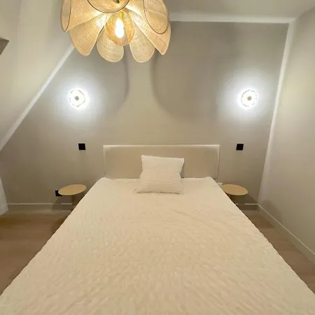 Duplex Contemporain Et Confort Strasbourg