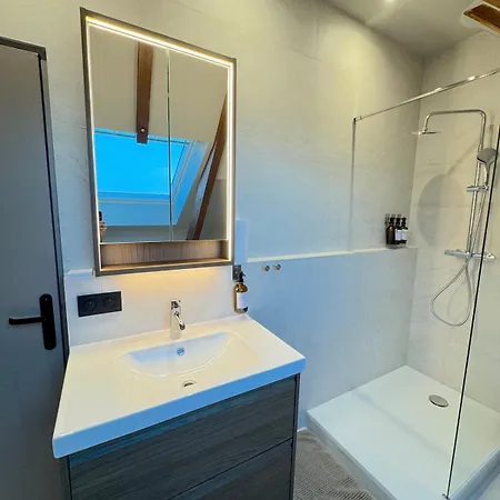 Duplex Contemporain Et Confort Apartment *