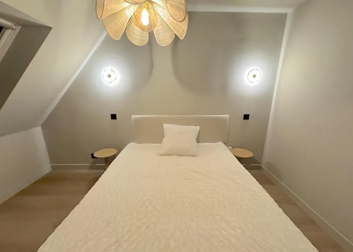 Duplex Contemporain Et Confort Strasbourg