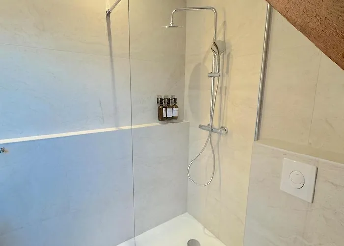 Appartement Duplex Contemporain Et Confort Strasbourg