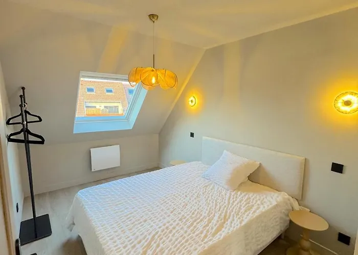 Duplex Contemporain Et Confort Appartement Strasbourg