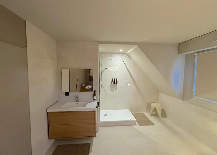 Duplex Contemporain Et Confort