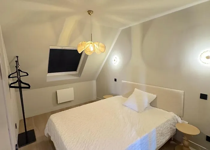 Duplex Contemporain Et Confort Strasbourg