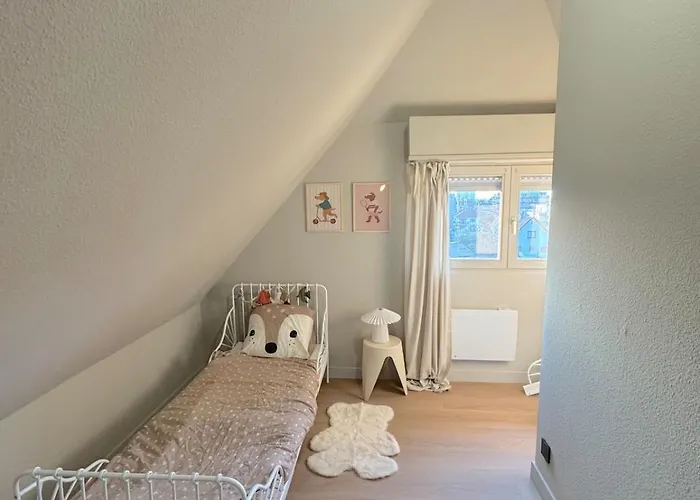 Duplex Contemporain Et Confort * Strasbourg